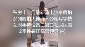 私房十二月最新流出独家厕拍系列厕拍大神潜入公司写字楼女厕手持设备拍摄白领尿尿第2季性感红高跟领导 (4)