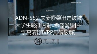 ADN-552 夫妻吵架出走被被大学生轮插内射..希岛爱里[中字高清](BVPP無碼破解)