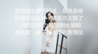 窈窕淑女君子好逑，高挑苗條的淑女型女神，老哥也太狠了，用吃奶的力氣狠操她 啪啪啪地響，妹子張大嘴巴表情扭曲