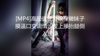 [MP4]高颜值花臂纹身嫩妹子摸逼口交调情沙发上操抬腿侧入猛操