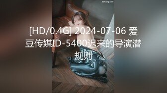 [HD/0.4G] 2024-07-06 爱豆传媒ID-5400迟来的导演潜规则