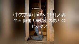 (中文字幕) [hoks-113] 人妻やる 興奮！夫以外の男とのセックス