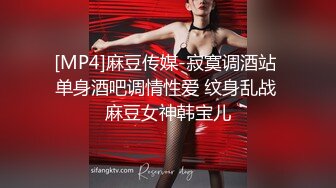 [MP4]麻豆传媒-寂寞调酒站 单身酒吧调情性爱 纹身乱战 麻豆女神韩宝儿