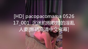 [HD] pacopacomama 052617_001  沉迷約炮軟體的淫亂人妻[無碼高清中文字幕]