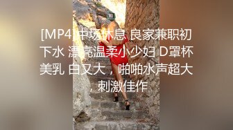 [MP4]中场休息 良家兼职初下水 漂亮温柔小少妇 D罩杯美乳 白又大，啪啪水声超大，刺激佳作