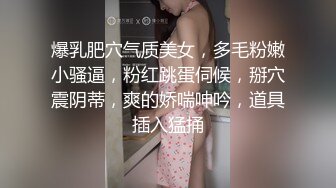 爆乳肥穴气质美女，多毛粉嫩小骚逼，粉红跳蛋伺候，掰穴震阴蒂，爽的娇喘呻吟，道具插入猛捅