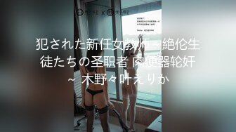 犯された新任女教师～絶伦生徒たちの圣职者 肉便器轮奸～ 木野々叶えりか