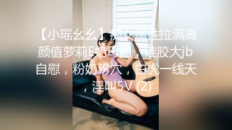 【小瑶幺幺】痴女属性拉满高颜值萝莉E奶母狗，硅胶大jb自慰，粉奶粉穴，白虎一线天，淫叫5V (2)