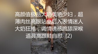 高颜值极品大奶美艳少妇，超薄肉丝高跟站立后入表情迷人大奶狂甩，调情诱惑跪舔深喉道具高跟鞋自慰  (2)