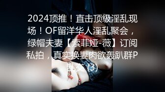 2024顶推！直击顶级淫乱现场！OF留洋华人淫乱聚会，绿帽夫妻【索菲娅-薇】订阅私拍，真实换妻肉欲轰趴群P乱交 (3)