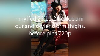 -mylfed.23.11.24.chloe.amour.and.skyler.storm.thighs.before.pies.720p